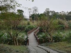 -桤木河湿地公园