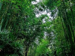 -人民公园(罗湖区)