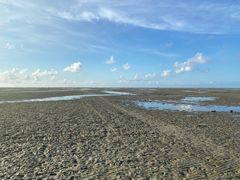 -北海金海湾红树林生态旅游区