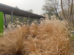 -西湖风景区-江洋畈生态公园