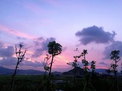 -SFC上影影城(淞南店)