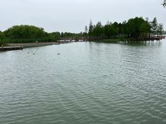 -贡湖湾湿地公园
