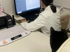 -艾贝尔宠物医院 ·中兽医·宠保定点(北门桥店)