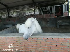 -迪茵湖田家舍生态农场