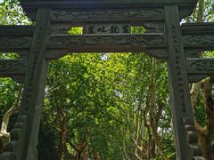 -杭州黄龙洞