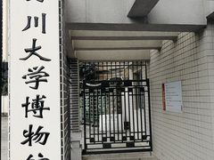 -四川大学博物馆