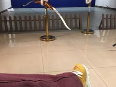 -道顺射箭·团建·骑射(张杨路店)