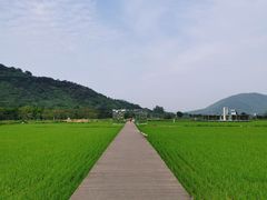 -艾米稻香小镇