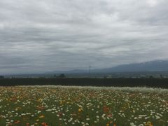 -富田农场