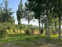 -西部长青自然儿童乐园