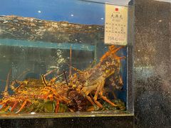 -鹏天阁酒楼·海鲜(红旗店)