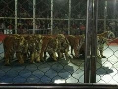 -西安秦岭野生动物园