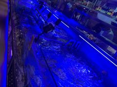 -渔民船说·北塘海鲜·天津菜·海肠捞饭(北塘古镇店)