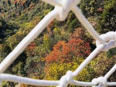 -塔云山