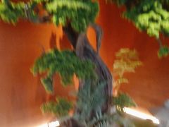 -阿伟海鲜楼·福建菜(延寿店)