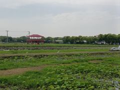 -嘉北郊野公园