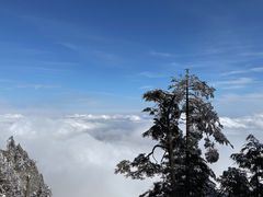 -瓦屋山景区