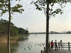 -艾溪湖湿地公园