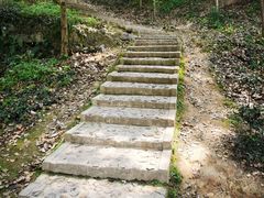 -上海佘山国家森林公园天马山园