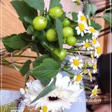 gaga藏在洋房🏡中的颜值与美味