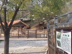 -北京鹿世界主题园