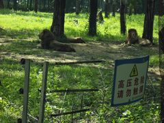 -秦皇岛野生动物园
