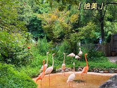 -昆明动物园