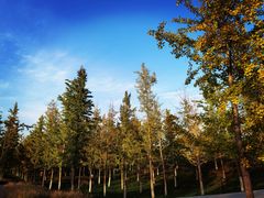 -汉长安城未央宫国家考古遗址公园