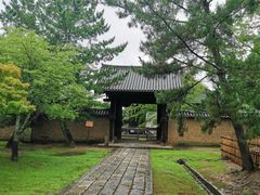 -奈良公园