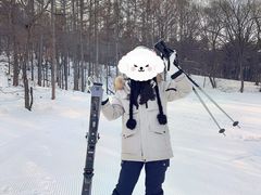 -东北亚滑雪场