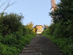-武陵山森林公园