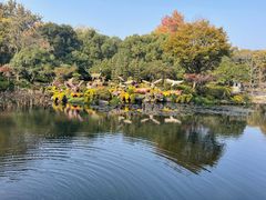 -杭州植物园