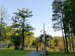 -四海公园(南山区)