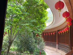 -雁南飞茶田景区