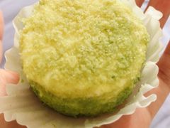 -蒲公英(五里店)