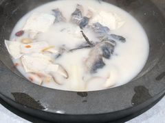 -鲜潭蒸汽石锅鱼(五道口购物中心店)