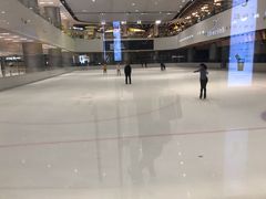 -TheRink大零溜冰场(IFS国金中心店)