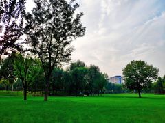 景点-固安志愿公园