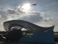 -南汇嘴观海公园