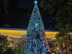 -火车头法国西餐厅