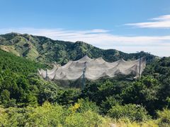-燕塞湖鸟语林景区