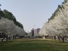 -同济大学(嘉定校区)