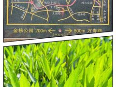 -铁路文化公园
