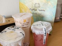 -猫的魔法密林(衣裳街店)