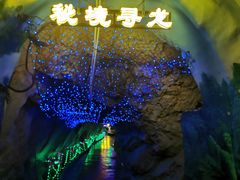-黔灵山公园