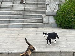 -观音山