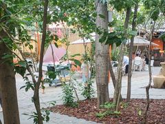 -陶缘一号·四季缘·老字号顺德菜·户外婚礼家宴(西滘店)