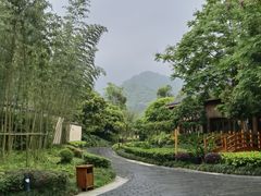 -青城山六善酒店·紫氣園中餐厅