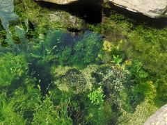 -济南大明湖景区