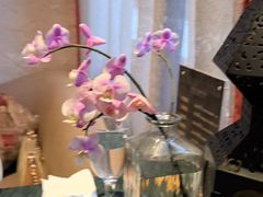 -翡翠鸟精品泰国菜(北辰财富中心店)
